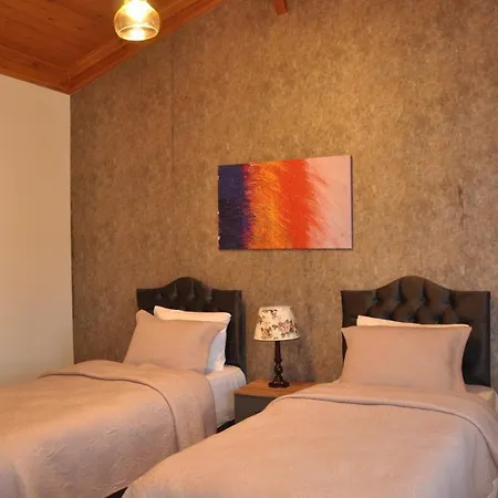 Tarihi Kumbaba Шиле