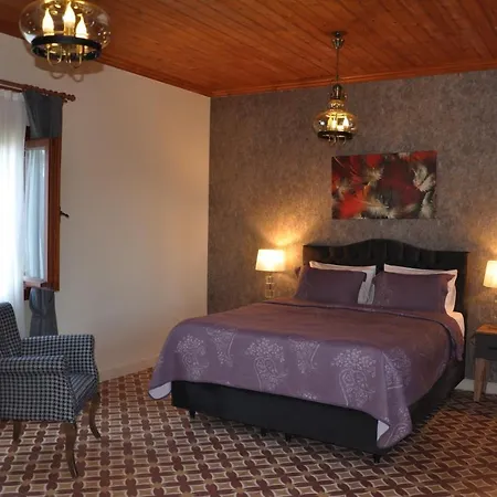 Tarihi Kumbaba Шиле